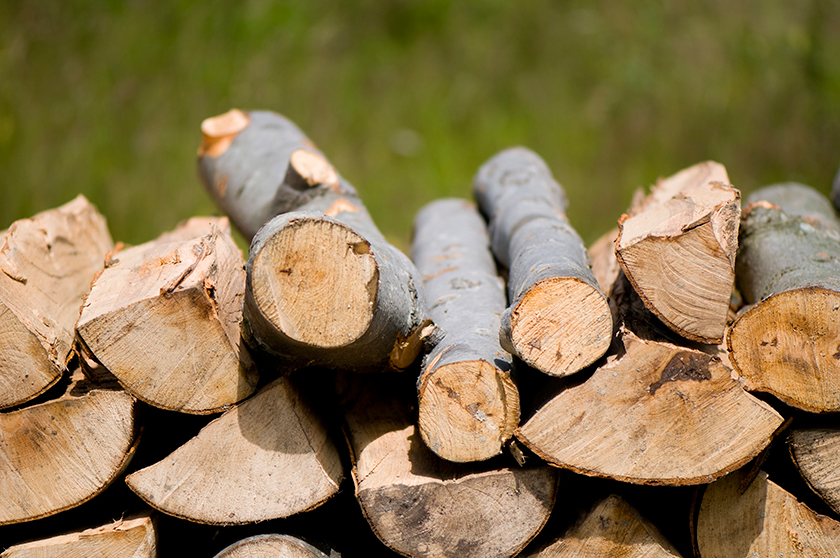 Mit Holz heizen und den Wald schonen.