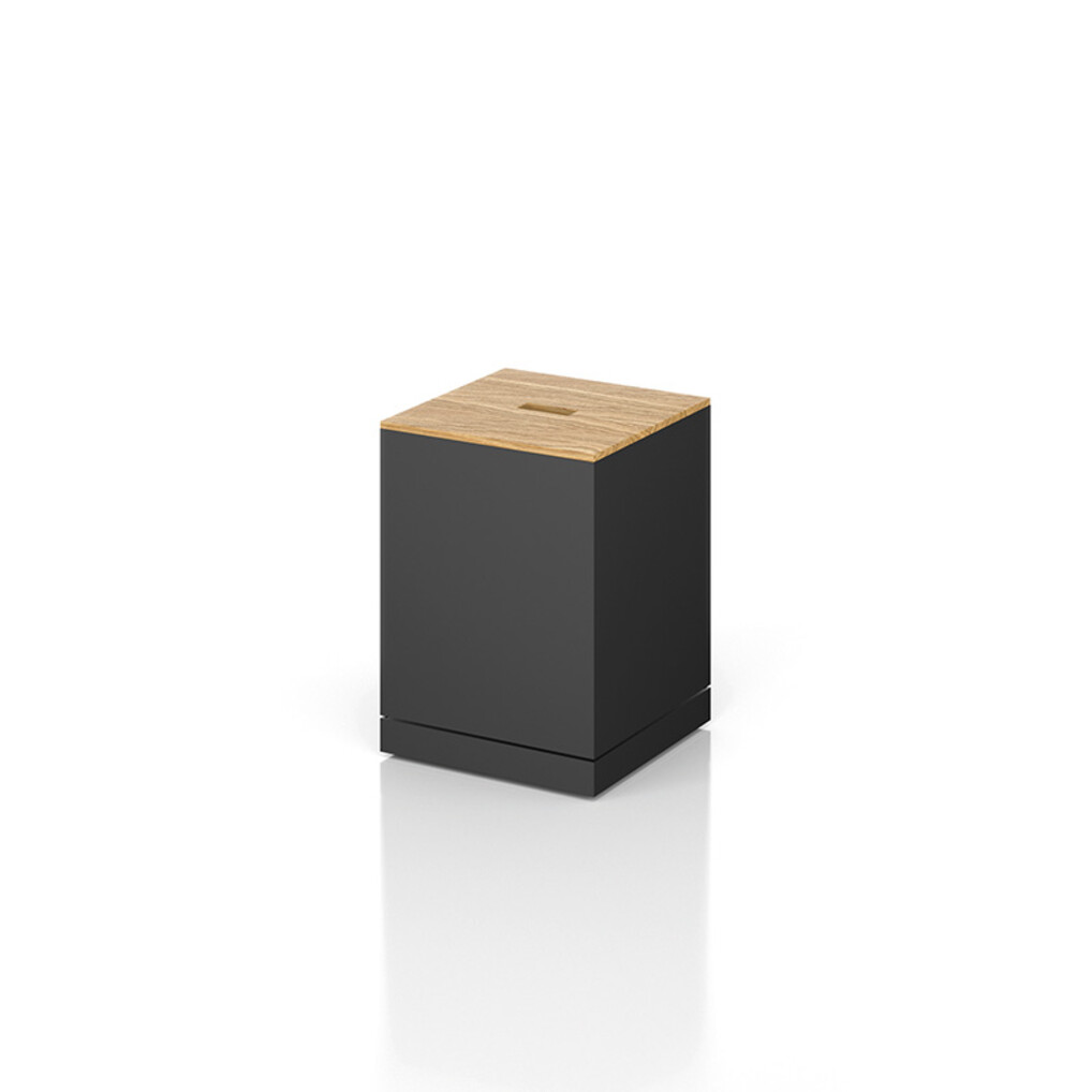Box mit Holzdeckel (45,5 / 33 / 33 cm)